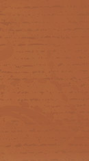 Central North Carolina Builder